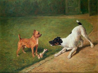 Fighting Over a Bone by John Emms